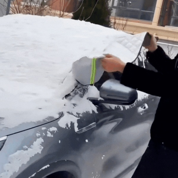 G90 PRO | The certified shield that protects your car from cold and frost