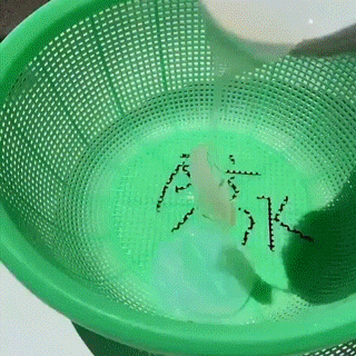 Product showcase image